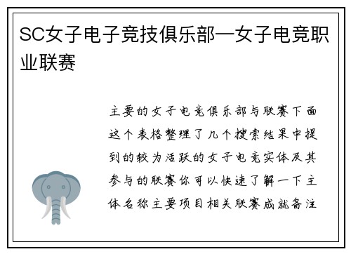 SC女子电子竞技俱乐部—女子电竞职业联赛